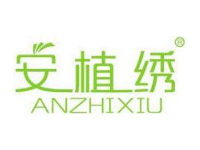 安植绣