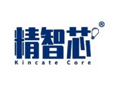 精智芯KINCATECORE