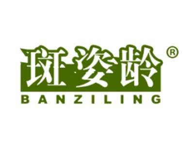 斑姿龄