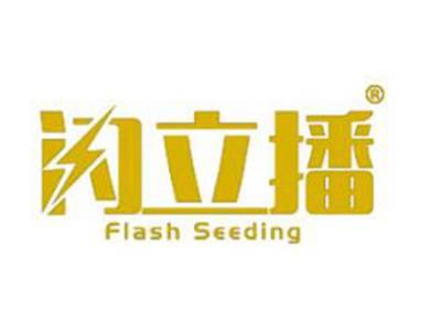 闪立播FLASHSEEDING