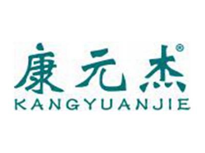 康元杰