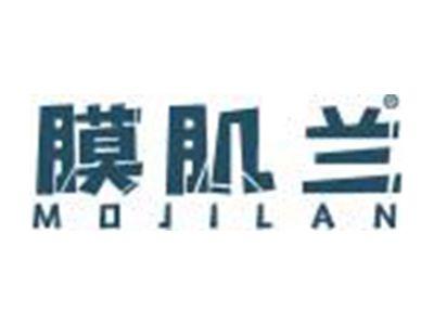 膜肌兰