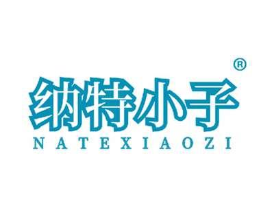 纳特小子