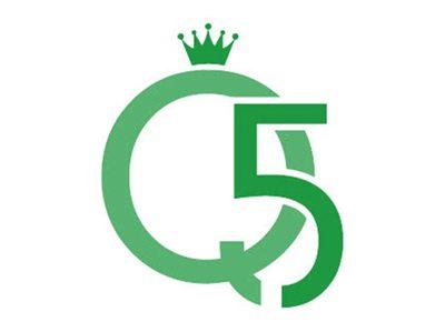 Q5