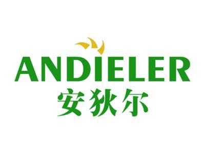 安狄尔