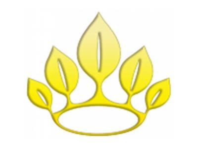 皇冠图形