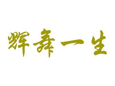 辉舞一生