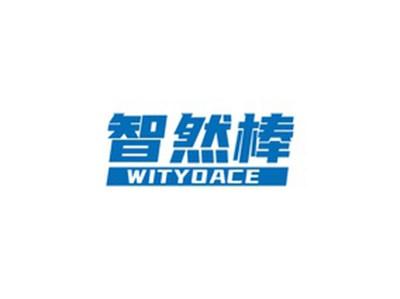 智然棒WITYOACE