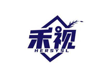 禾视HERSYSL