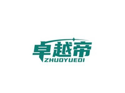 卓越帝ZHUOYUEDI