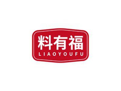 料有福LIAOYOUFU