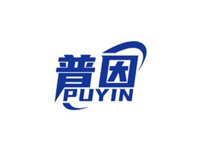 普因PUYIN