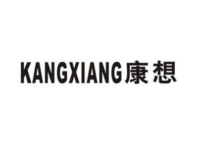 康想