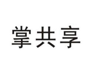掌共享