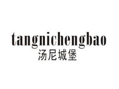 汤尼城堡