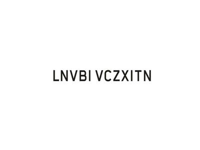LV英文