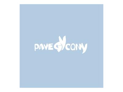PAVEGYCQNY