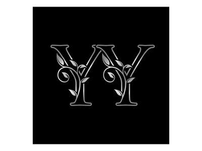 YY