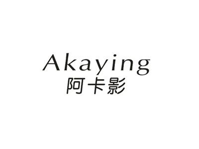 阿卡影