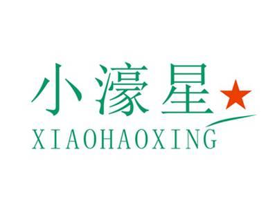 小濠星XIAOHAOXING
