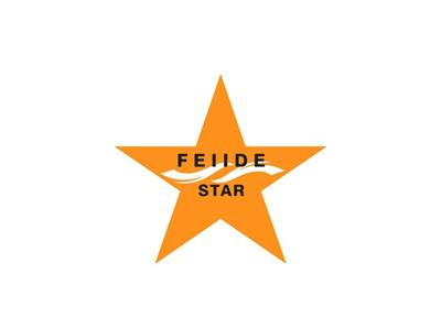 FEIIDESTAR