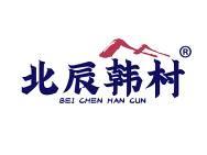 北辰韩村