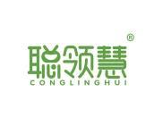聪领慧