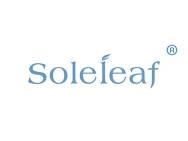 SoleLeaf唯一的叶子
