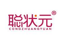 聪状元