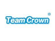 TEAMCROWN(战队之王)