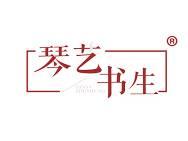 琴艺书生
