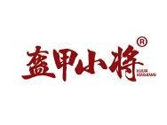 盔甲小将