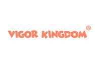 VIGORKINGDOM元气王国