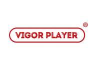 VIGORPLAYER元气玩国
