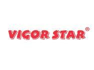 VIGORSTAR元气之星