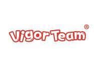VIGORTEAM元气战队