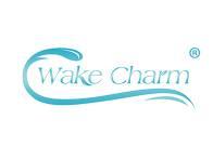 WakeCharm(唤醒魅力）
