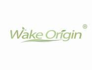 WAKEORIGIN唤醒之源