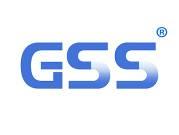 GSS