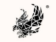 老鹰阿玛尼图形57995676