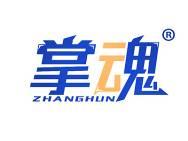 掌魂