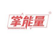 掌能量