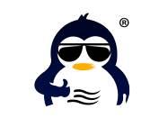 企鹅图形52690075