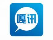 嘎讯