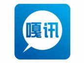 嘎讯