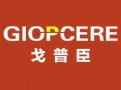 戈普臣