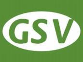 GSV