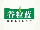谷粒蓝