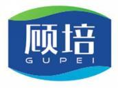 顾培