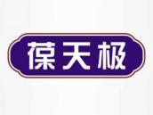 葆天极